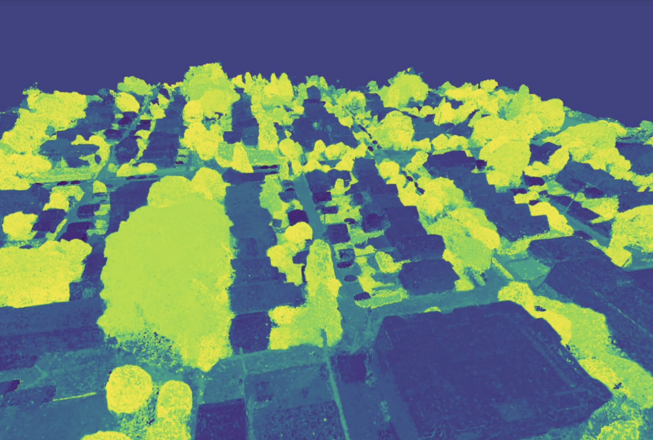 Image with the tree channel