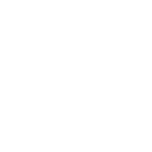 Niantic Spatial Symbol