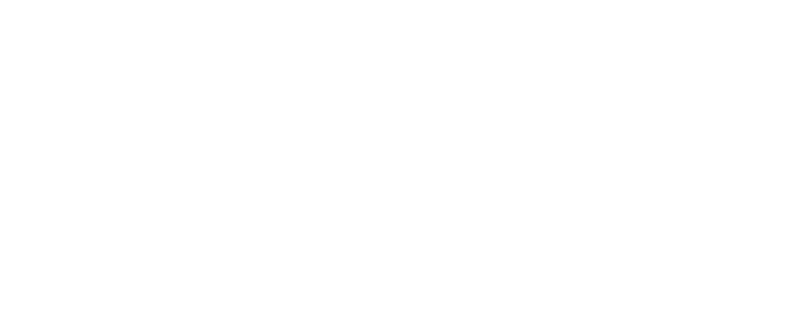 Niantic Spatial Logo